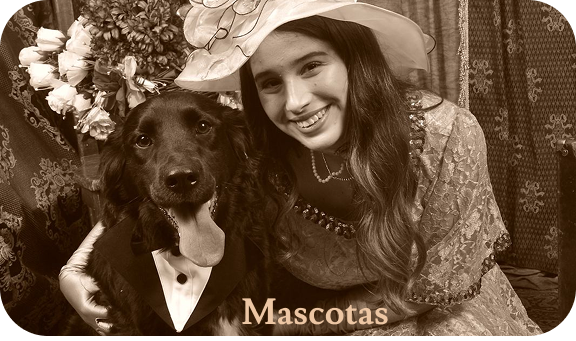 Sesión mascotas